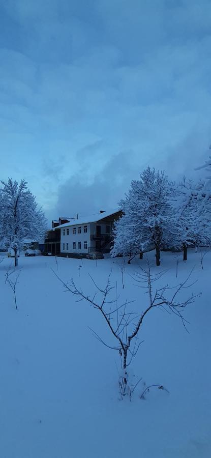 Guest House Tavaduri Mestia Dış mekan fotoğraf